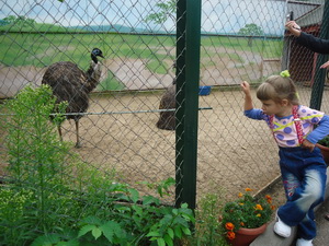 Зоопарк Лимпопо в Нижнем Новгороде
