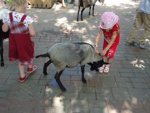 Льготы на посещение зоопарка Лимпопо в Нижнем Новгороде