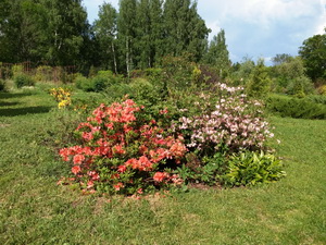 Нижегородский ботанический сад